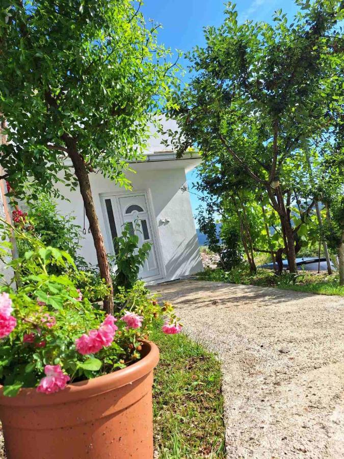 Apartman Glorija Kotor Exteriér fotografie