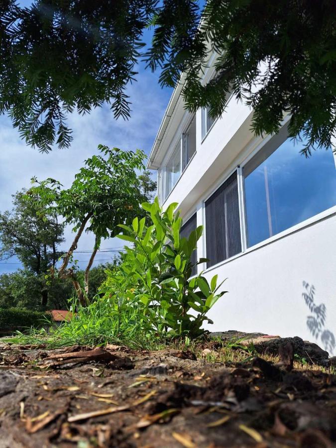Apartman Glorija Kotor Exteriér fotografie